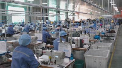 学习贯彻党的二十届四中全会精神在基层｜ 麻城：企业“升规入统” 增添发展动能