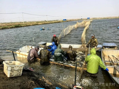 12月15日 早！黄冈 | 公交延伸，直达文旅地标！◆ 黄冈一单位搬迁，新址在→