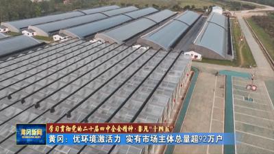 学习贯彻党的二十届四中全会精神 非凡“十四五” 黄冈：优环境激活力 实有市场主体总量超92万户