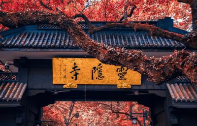 “门票减法”背后的“消费加法” 