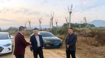 武穴市资规局全力服务项目建设