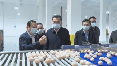 李军杰在浠水调研蛋品产业链发展并宣讲市委全会精神时强调 聚焦特色产业 做强产业链条 为高质量发展夯实产业支撑