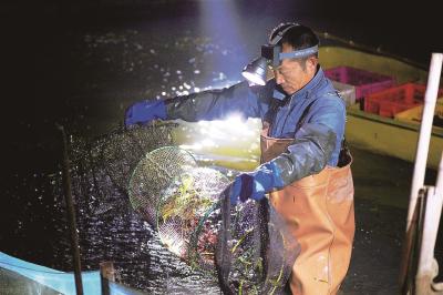 潜江四季有虾四季红,冬虾总产量预计超2.6万吨 一筐筐小龙虾出水就能卖出好价钱