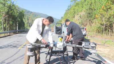 绿色发展的黄冈答卷｜无人机化身“疫木搬运工” 森林病虫害防治实现新突破