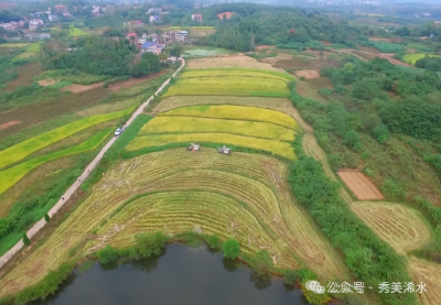 新版“身份证”筑牢农产品安全防线