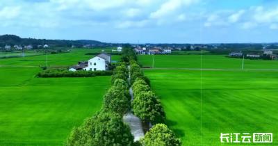 湖北省自然资源厅党组书记、厅长何开文：优化国土空间发展格局 当好“大管家”