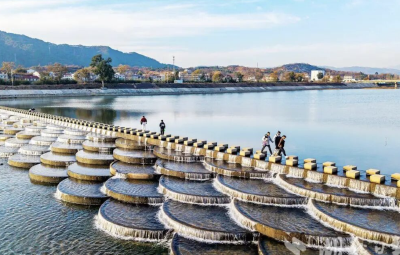 杨柳湾镇多举措推动城乡居民医疗和养老保险征收工作