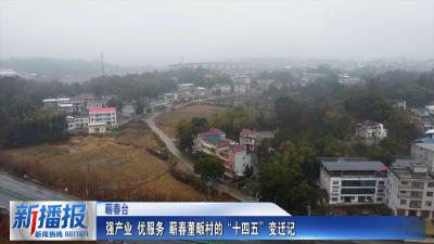 我们的“十四五”｜强产业 优服务 蕲春董畈村的“十四五”变迁记