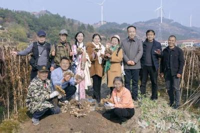 刘元渡槽的春天