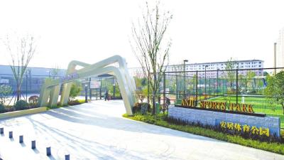 精管善治谱新篇——我市以高质量城管护航城市高质量发展