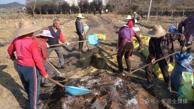 全链条升级 多业态融合  罗田县推动中药材产业发展