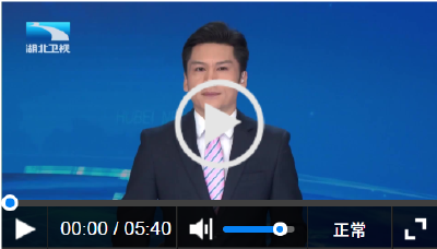 走一线 看支点 | 活力湖北联通世界 开放高地加速形成