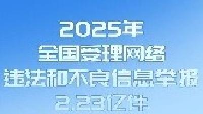 2025年全国受理网络违法和不良信息举报2.23亿件 