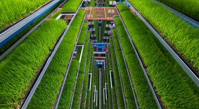 我国将重点建设6类国家农业现代化示范区