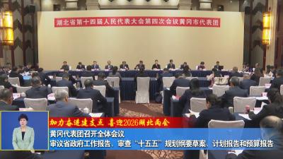 加力奋进建支点 喜迎2026湖北两会｜黄冈代表团召开全体会议 审议省政府工作报告、审查“十五五”规划纲要草案、计划报告和预算报告
