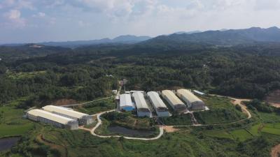 奋力建支点 我也来发布｜一枚鸡蛋里的科技与温暖