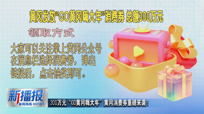 300万元“GO黄冈嗨大年”黄冈消费券重磅来袭！