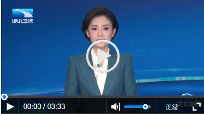 市州两会观察丨武汉：2030年基本建成“五个中心” “五谷联动”促区域协同