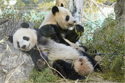 1月22日 早！黄冈 | 好消息！黄冈新增5对列车◆市教育局公告