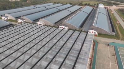 黄州区：沃野上织锦绣  农业兴产业旺