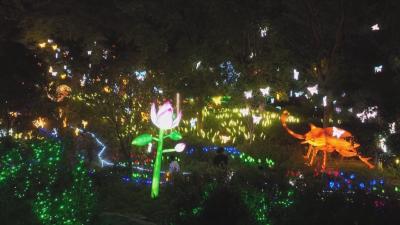 从此东坡·遇见宋潮｜ 千灯映湖忆东坡 遗爱湖畔宋韵浓