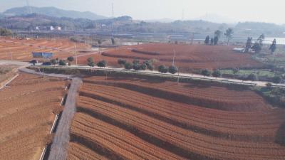 学习贯彻党的二十届四中全会精神聚力建支点｜ 生态资产交易超两千万元 蕲春试点“水土生金”