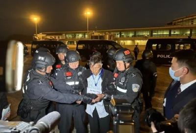 2025年全国共侦破电信网络诈骗案件25.8万起