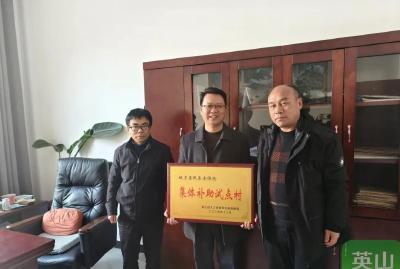 英山首笔城乡居保集体补助发放 150名村民共享发展红利