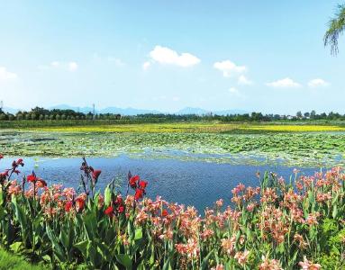 “资源打包”卖出好价钱 湖北两案例上榜国家生态价值实现典型