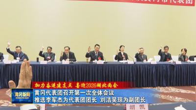 加力奋进建支点 喜迎2026湖北两会｜ 黄冈代表团召开第一次全体会议 推选李军杰为代表团团长 刘洁吴琼为副团长