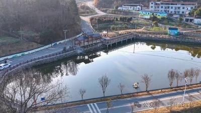 罗田县综合物流园建设“快马加鞭”