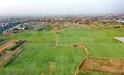 麻城市铁门岗乡陶元片区三村联动——  小娃娃菜铺就振兴路