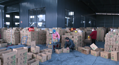 月产能300吨！蕲艾竟能做成碳？