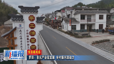 经济微观察｜罗田：多元产业促发展 乡村振兴添动力
