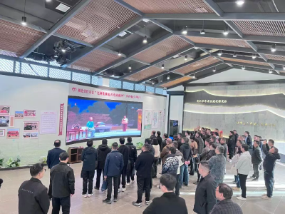 片区花开别样红——红安县片区化推进乡村振兴新路径