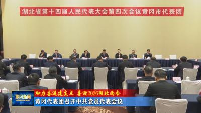加力奋进建支点 喜迎2026湖北两会｜黄冈代表团召开中共党员代表会议