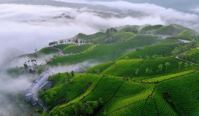 六五环境日：全民行动共绘美丽中国新图景