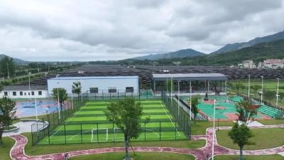 罗田县大崎镇推进“数字乡镇”建设——推动基层治理与服务加速转型