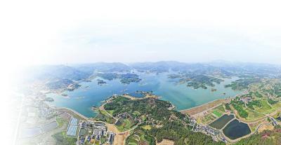 以“品”提质 以质兴产  团风香米闯出产业振兴新路径