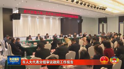 市人大代表分组审议政府工作报告