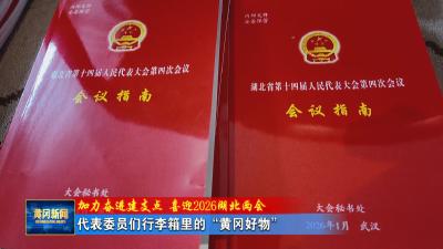 加力奋进建支点 喜迎2026湖北两会｜ 代表委员们行李箱里的“黄冈好物”