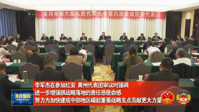 李军杰在参加红安黄州代表团审议时强调 进一步增强抓战略落地的责任感使命感  努力为加快建成中部地区崛起重要战略支点贡献更大力量