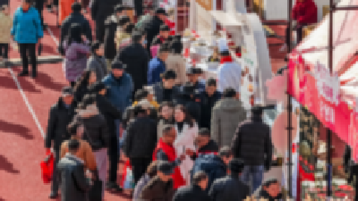 演出吸睛 美食诱人 招商有成——湖北社区春晚闹应城