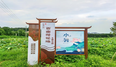 新华每日电讯丨“不仅要‘小丰’，还要‘大丰’”