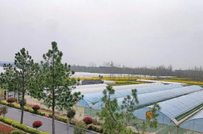 1月10日 早！黄冈 |32.5亿加码！这条超级熟料生产线今年试产 ◆我市一单位获全国粮食系统最高荣誉