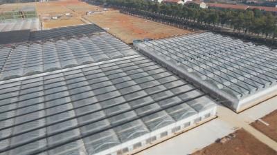 在希望的田野上｜ 武穴：246亩“黑科技”农场激活乡村振兴新动能