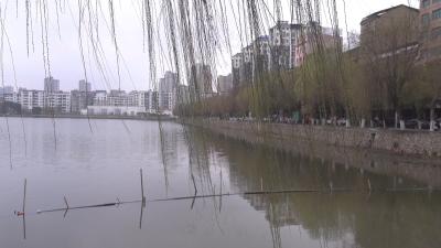 刘庆：青砖湖社区的“实干书记”