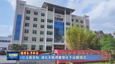 稳增长 开新局｜ 6亿元新目标 湖北大帆用数智化干出精细活