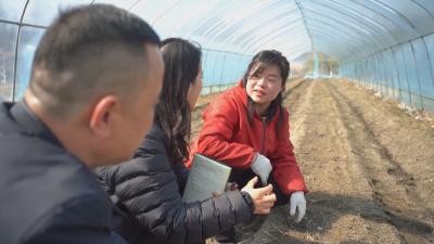 新春走基层｜麻城：帮企业“迈坎子” 为创业“添底气”