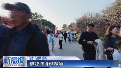 从此东坡·烟火黄州年｜逛庙会赏红梅 遗爱湖畔享新春